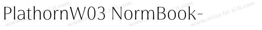 PlathornW03 NormBook字体转换